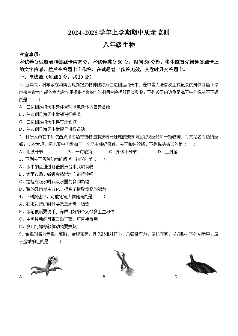 河南省长葛市2024-2025学年八年级上学期期中生物试题第1页