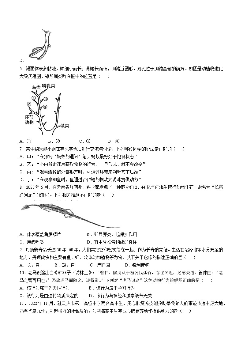 河南省长葛市2024-2025学年八年级上学期期中生物试题第2页