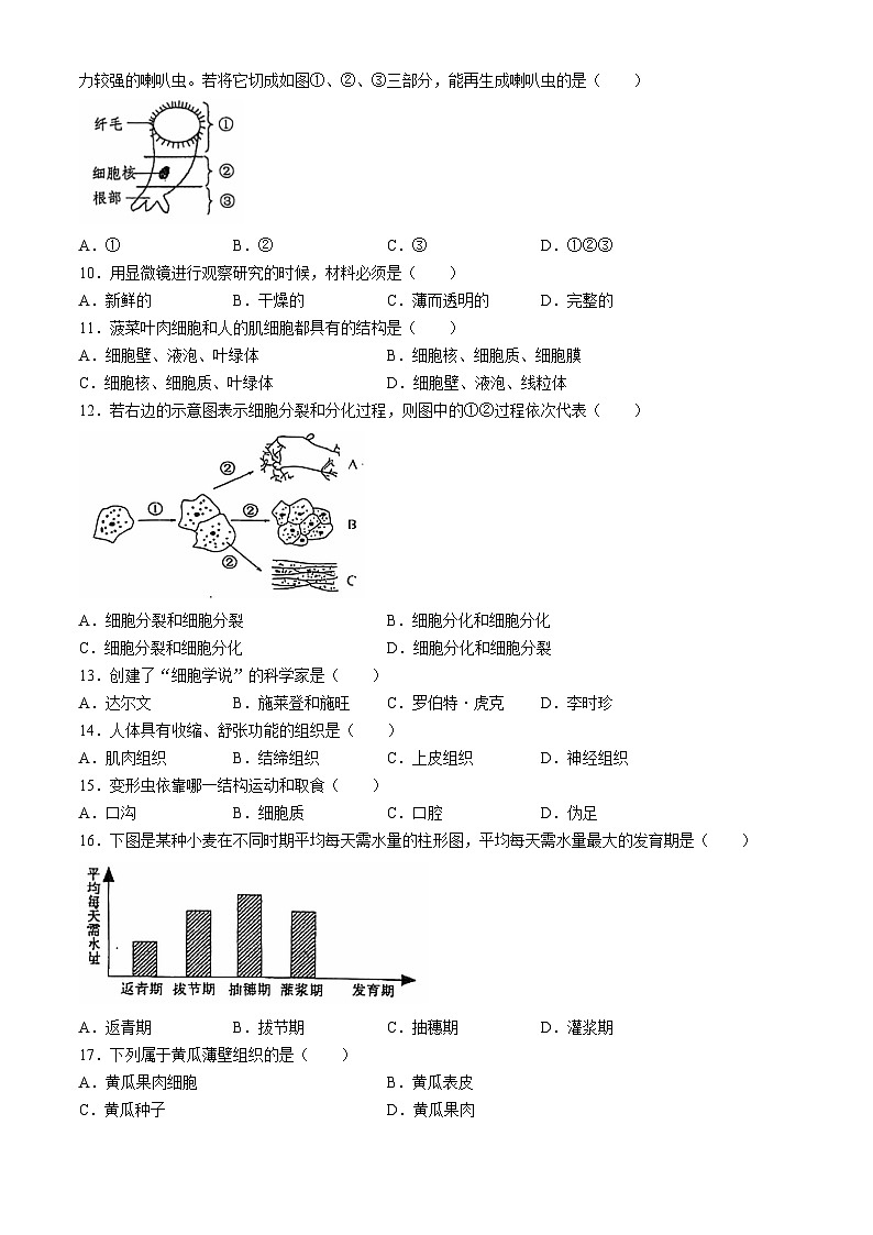 湖南省永州市蓝山县2024-2025学年七年级上学期期中生物试题第2页