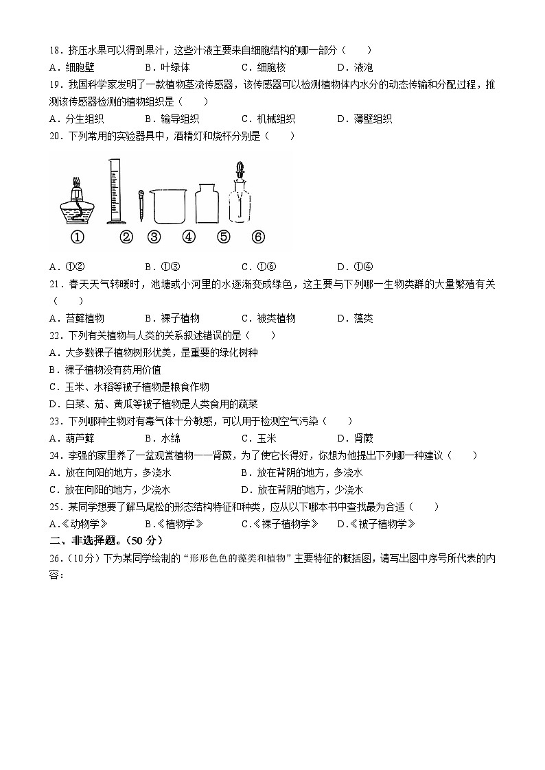 湖南省永州市蓝山县2024-2025学年七年级上学期期中生物试题第3页