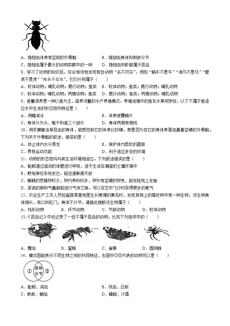 湖南省永州市蓝山县2024-2025学年八年级上学期期中生物试题02