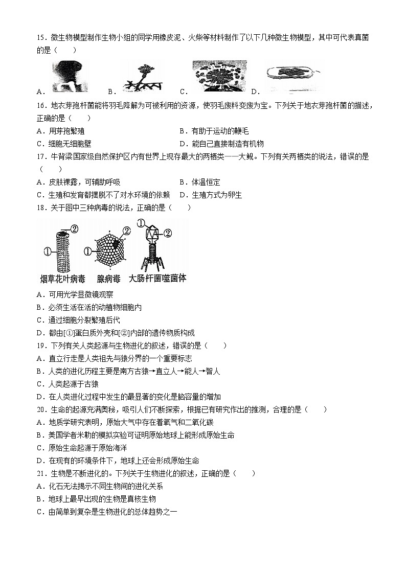 湖南省永州市蓝山县2024-2025学年八年级上学期期中生物试题03