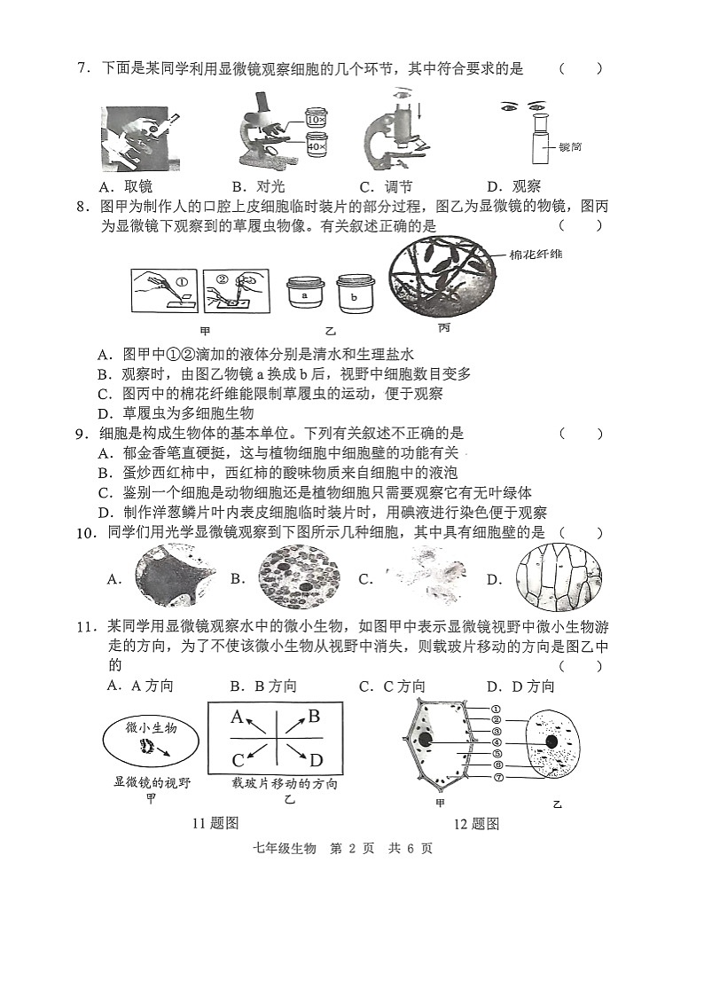 山东省菏泽市巨野县2024-2025学年七年级上学期11月期中生物试题02