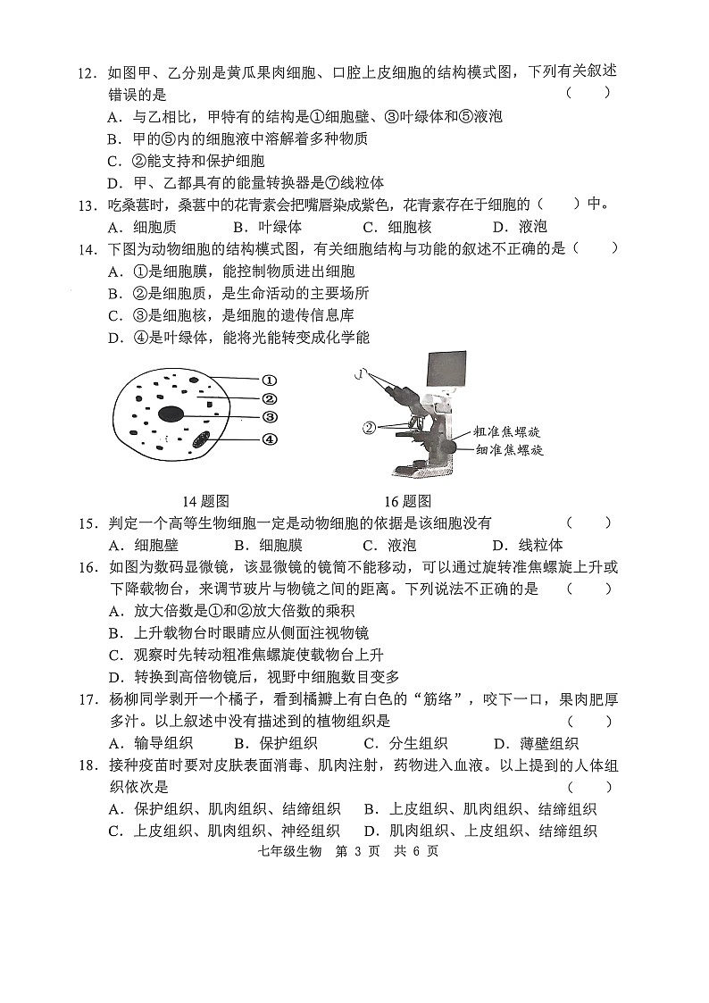 山东省菏泽市巨野县2024-2025学年七年级上学期11月期中生物试题03