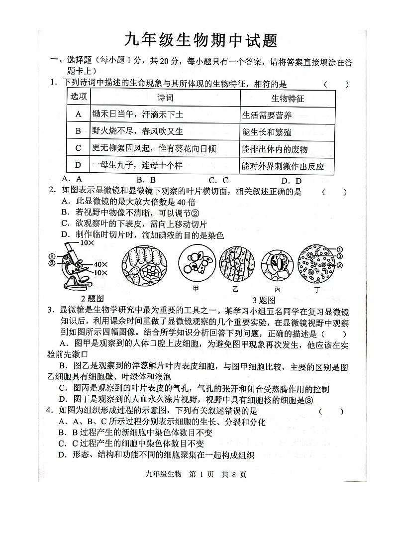 山东省菏泽市巨野县2024-2025学年九年级上学期11月期中生物试题01