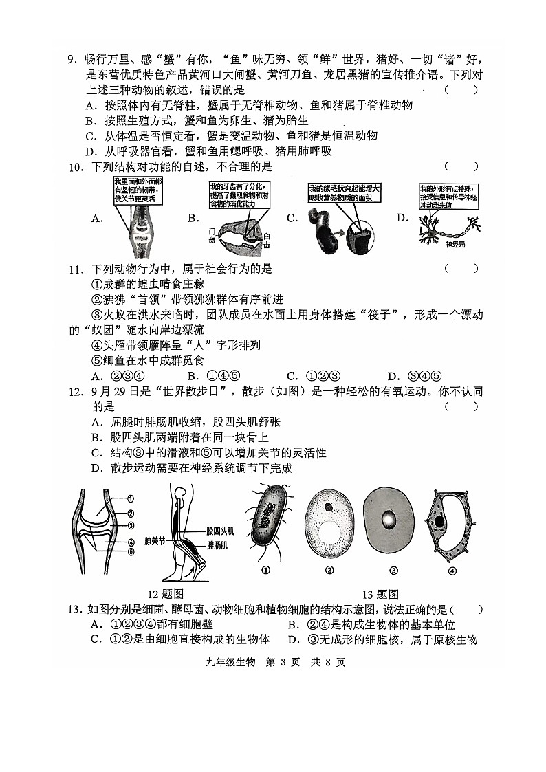 山东省菏泽市巨野县2024-2025学年九年级上学期11月期中生物试题03