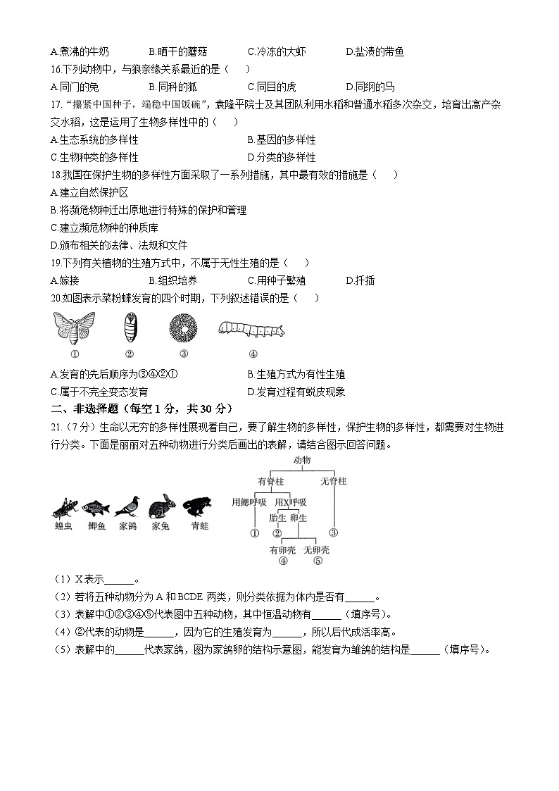 吉林松花江中学2024-2025学年八年级上学期期中生物试题第3页