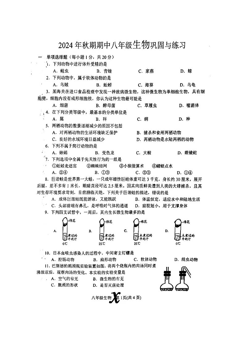 河南省南阳市内乡县2024-2025学年八年级上学期11月期中生物试题01