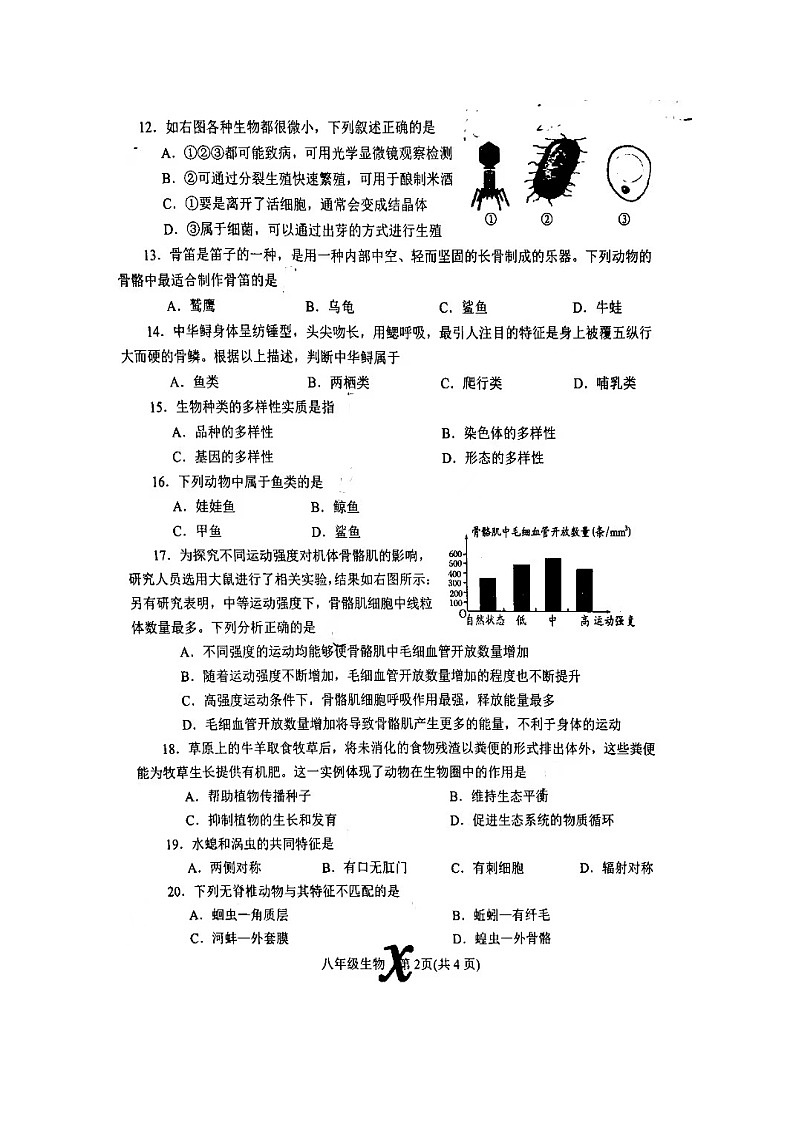 河南省南阳市内乡县2024-2025学年八年级上学期11月期中生物试题02