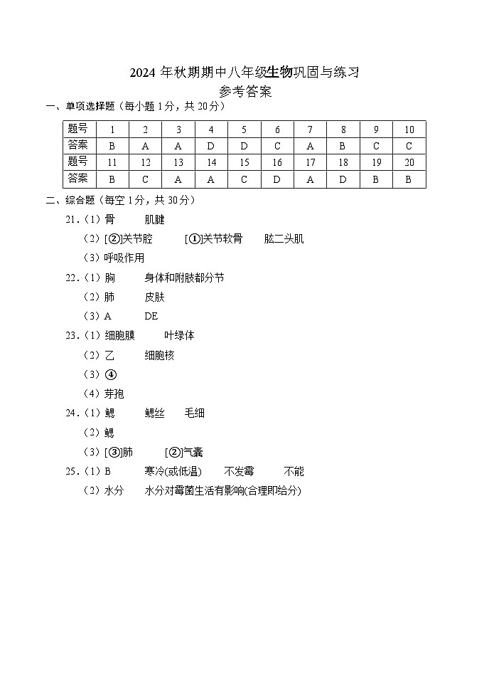 河南省南阳市内乡县2024-2025学年八年级上学期11月期中生物试题01