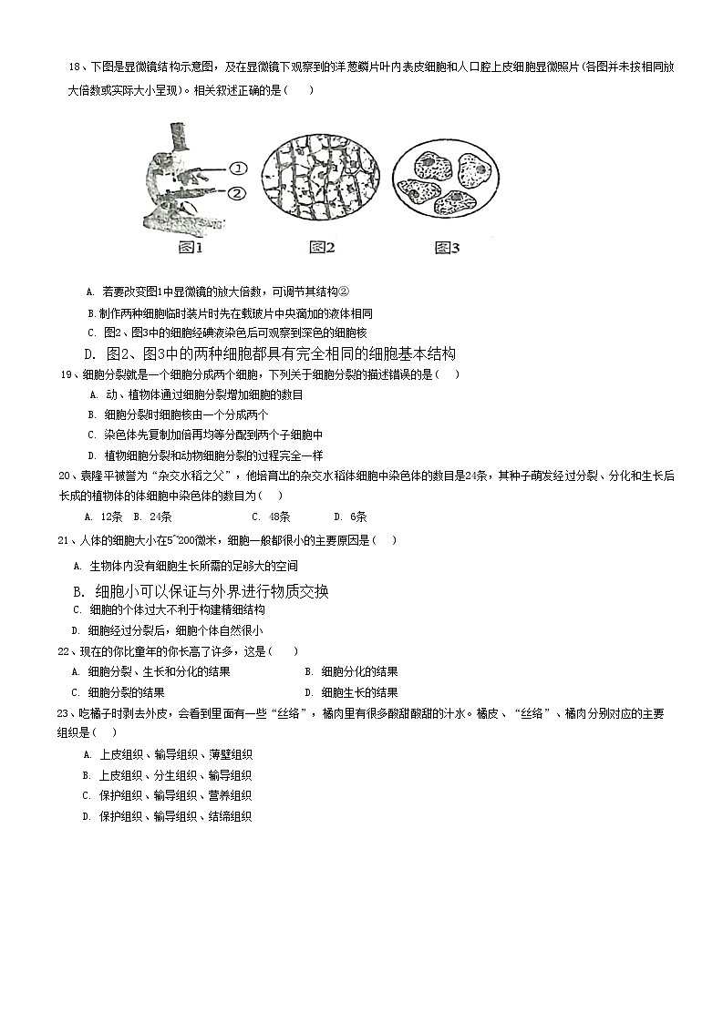 广东省梅州市兴宁市实验学校教育集团(五校联考)2024-2025学年七年级上学期11月期中生物试题第3页