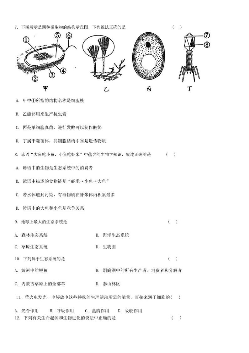 辽宁省沈阳市虹桥中学2024～2025学年八年级(上)生物期中试卷(含答案)02