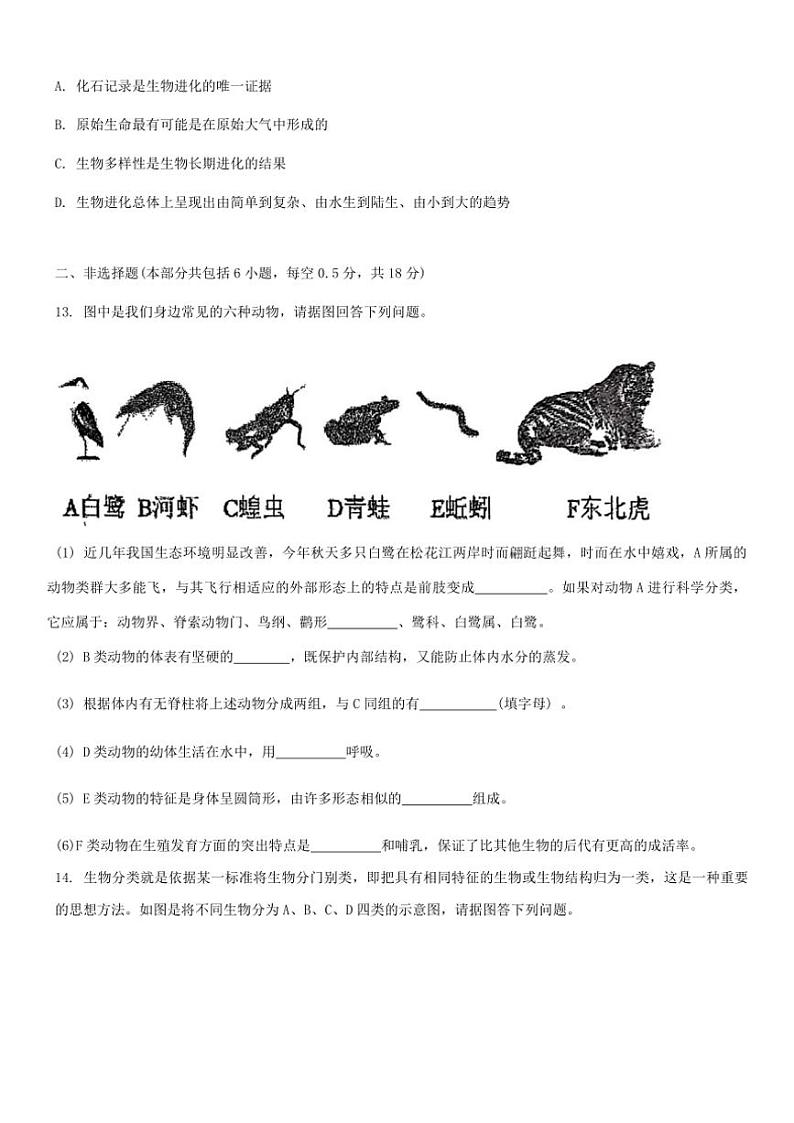 辽宁省沈阳市虹桥中学2024～2025学年八年级(上)生物期中试卷(含答案)03