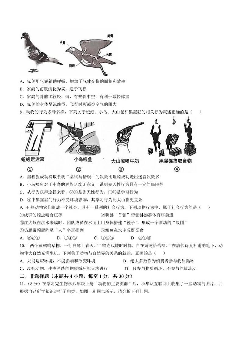 湖北省荆门市沙洋县2024～2025学年八年级(上)期中生物试卷(含答案)第2页