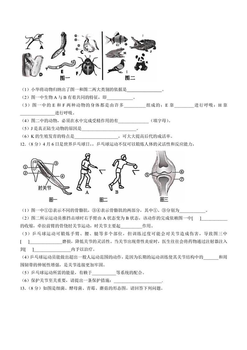 湖北省荆门市沙洋县2024～2025学年八年级(上)期中生物试卷(含答案)第3页
