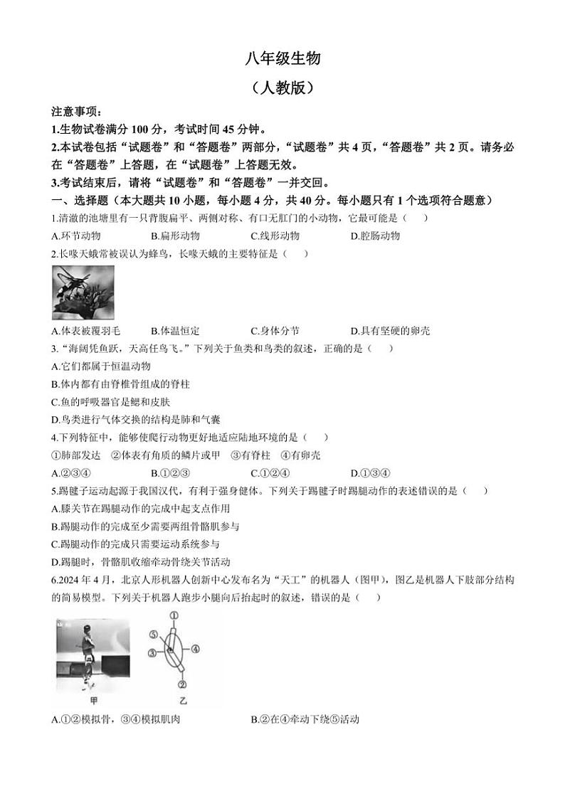 安徽省亳州市利辛县2024～2025学年八年级(上)期中生物试卷(含答案)第1页