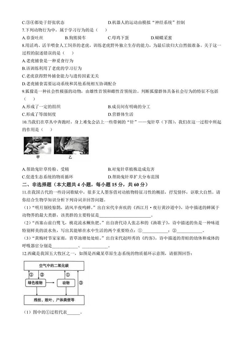 安徽省亳州市利辛县2024～2025学年八年级(上)期中生物试卷(含答案)第2页