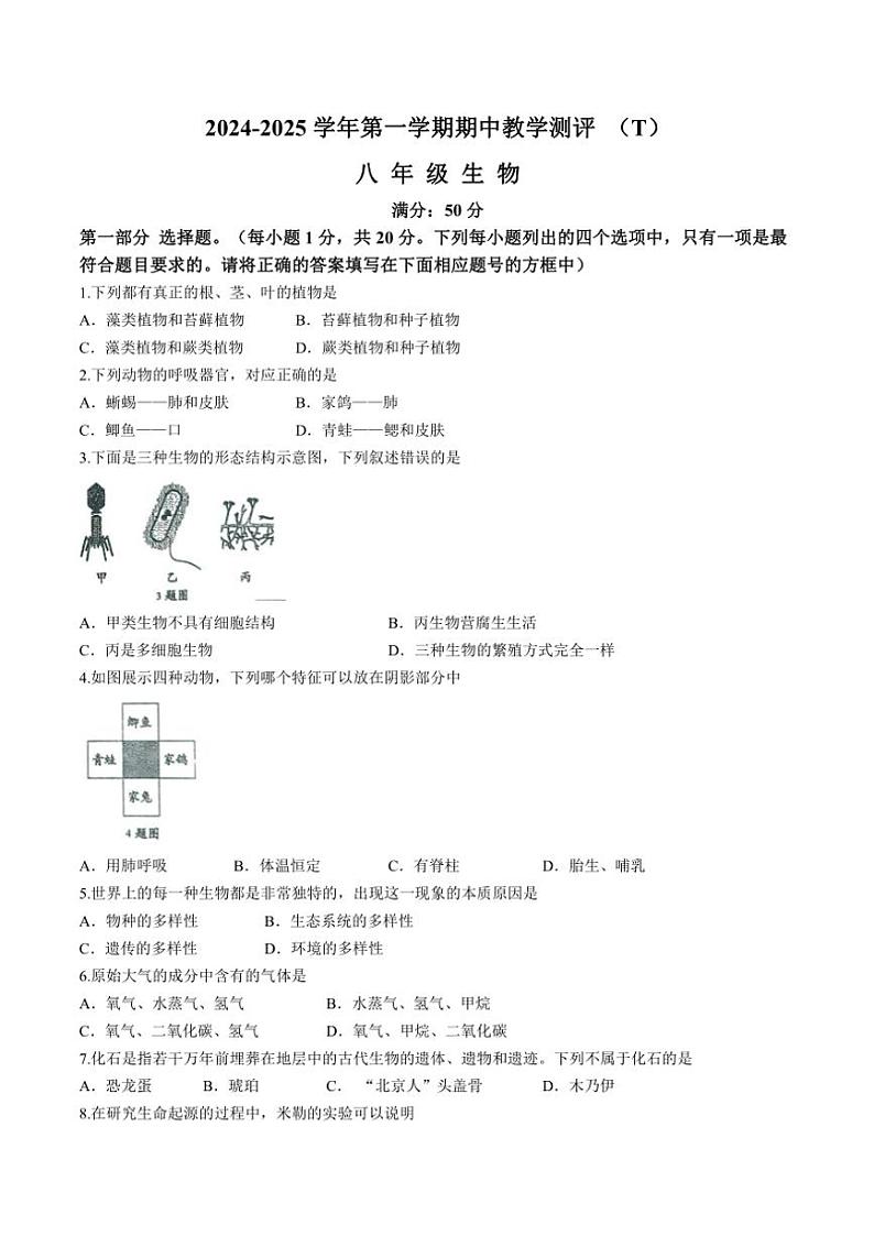 河南省周口市太康县2024～2025学年八年级(上)期中生物试卷(含答案)01