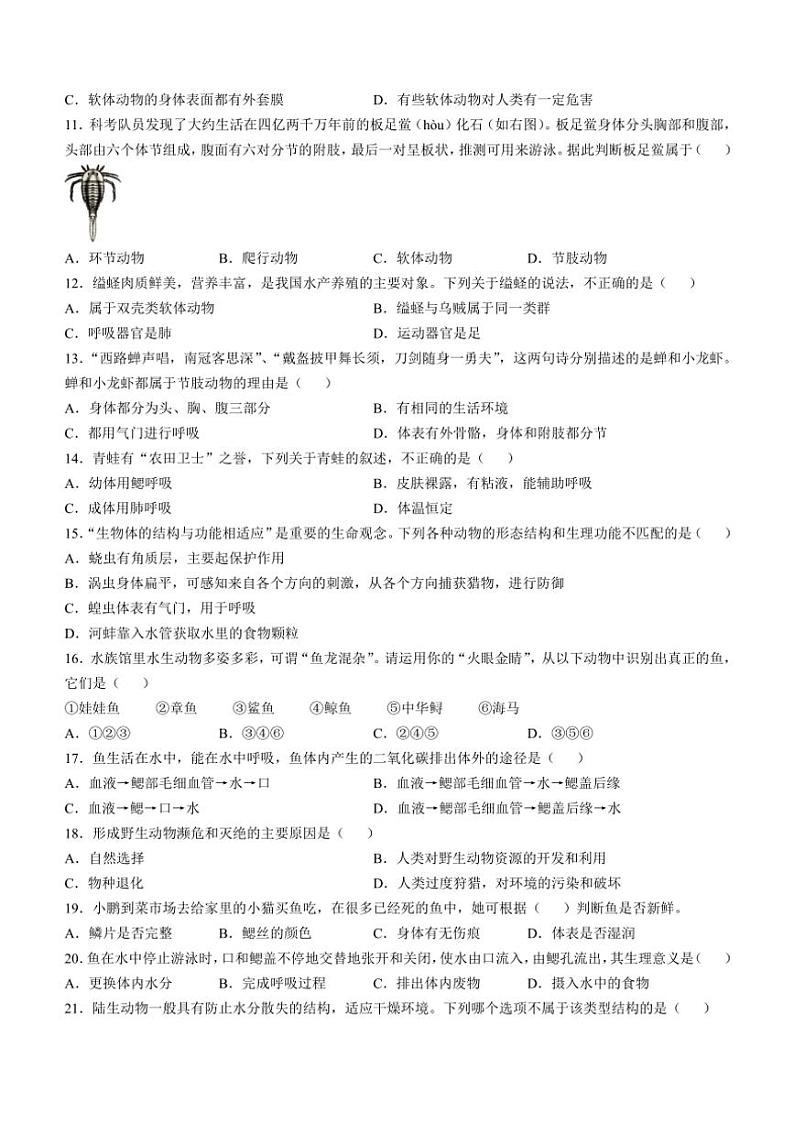 重庆市潼南区初中学校联考2024～2025学年八年级(上)期中生物试卷(含答案)02