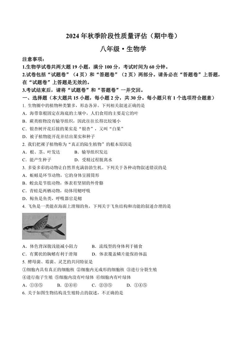 安徽省滁州市明光市城区联考2024～2025学年八年级(上)期中生物试卷(含答案)第1页