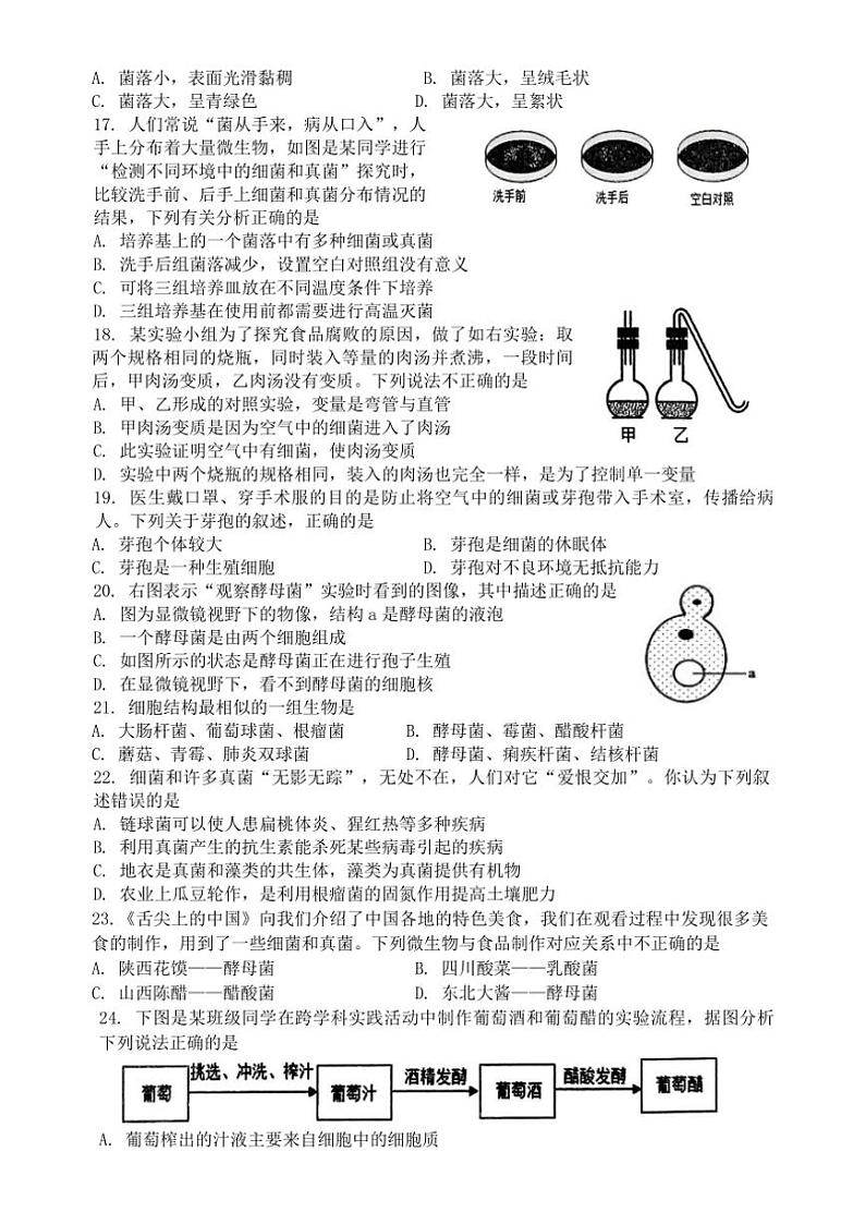 湖南省娄底市涟源市2024～2025学年八年级(上)期中生物试卷(含答案)03