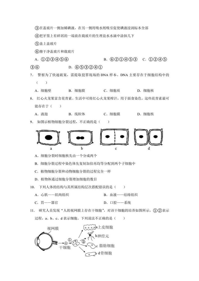 河南省商丘市夏邑县城北五乡联考2024～2025学年七年级(上)期中生物试卷(含答案)第2页