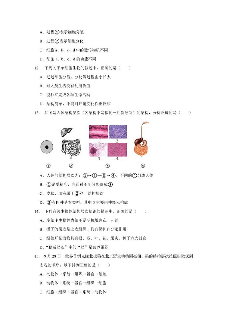 河南省商丘市夏邑县城北五乡联考2024～2025学年七年级(上)期中生物试卷(含答案)第3页