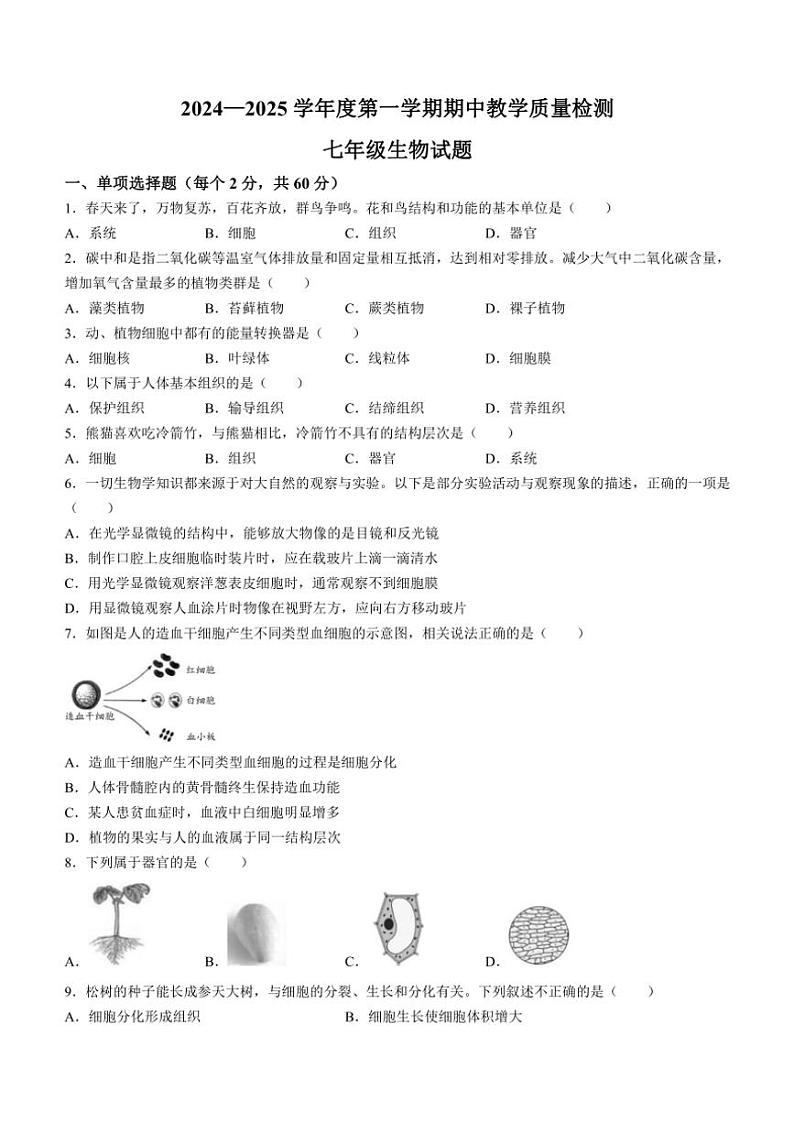 河北省石家庄市栾城区2024～2025学年七年级(上)期中生物试卷(含答案)01