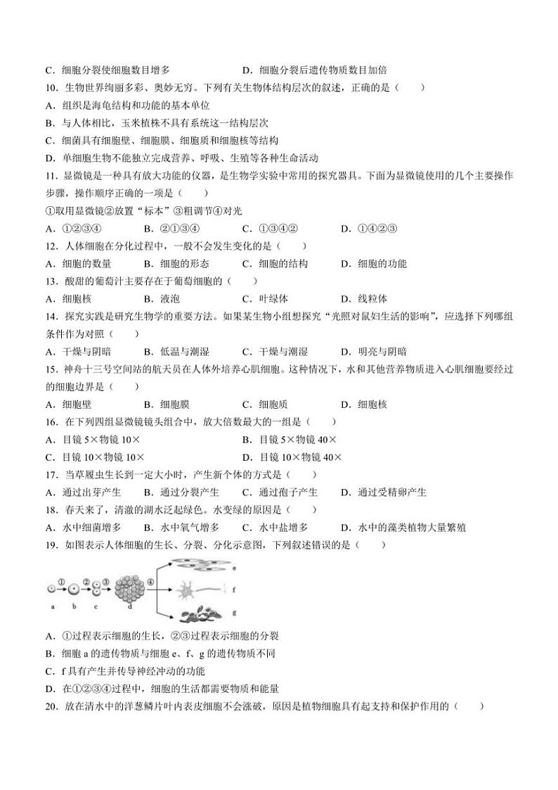 河北省石家庄市栾城区2024～2025学年七年级(上)期中生物试卷(含答案)02