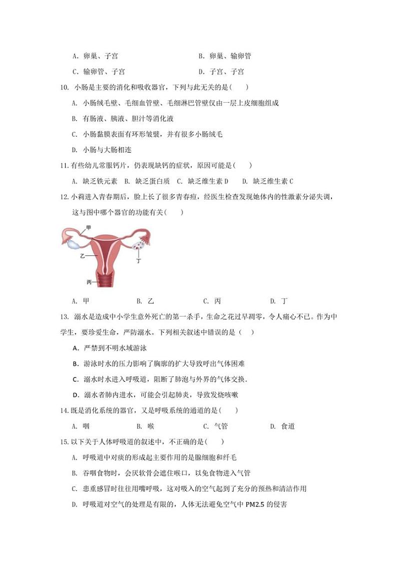 山东省威海市文登区实验中学(五四制)2024～2025学年七年级(上)期中生物试卷(含答案)第2页