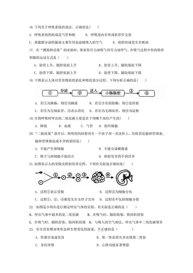 山东省威海市文登区实验中学(五四制)2024～2025学年七年级(上)期中生物试卷(含答案)第3页