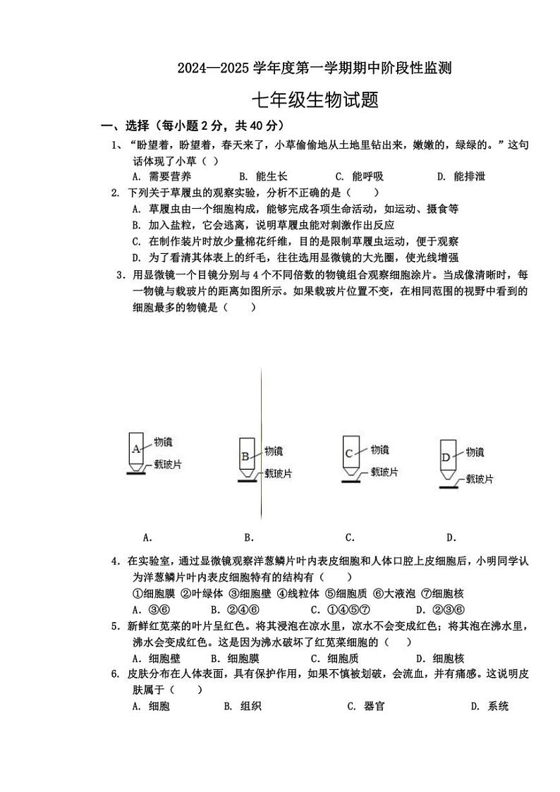 山东省枣庄市台儿庄区2024～2025学年七年级(上)期中生物试卷(含答案)第1页