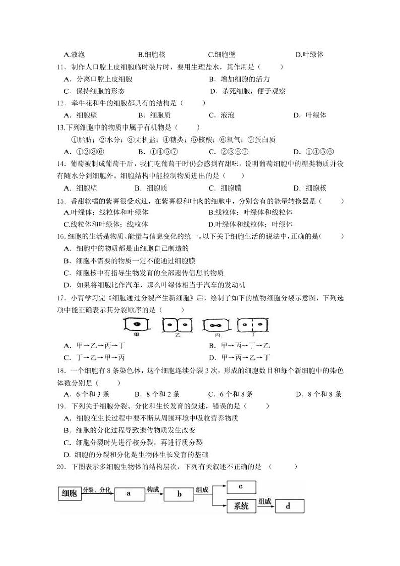湖南省长沙市开福区青竹湖湘一外国语学校2024～2025学年七年级(上)期中生物试卷(含答案)第2页