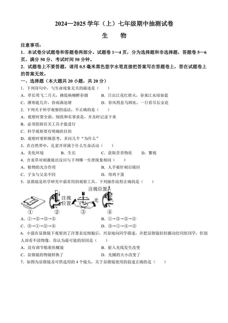 河南省焦作市中站区2024～2025学年七年级(上)期中生物试卷(含答案)第1页