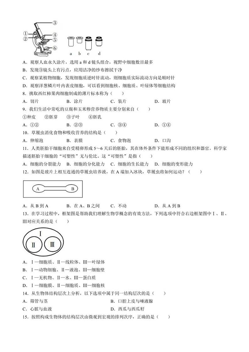 河南省焦作市中站区2024～2025学年七年级(上)期中生物试卷(含答案)第2页