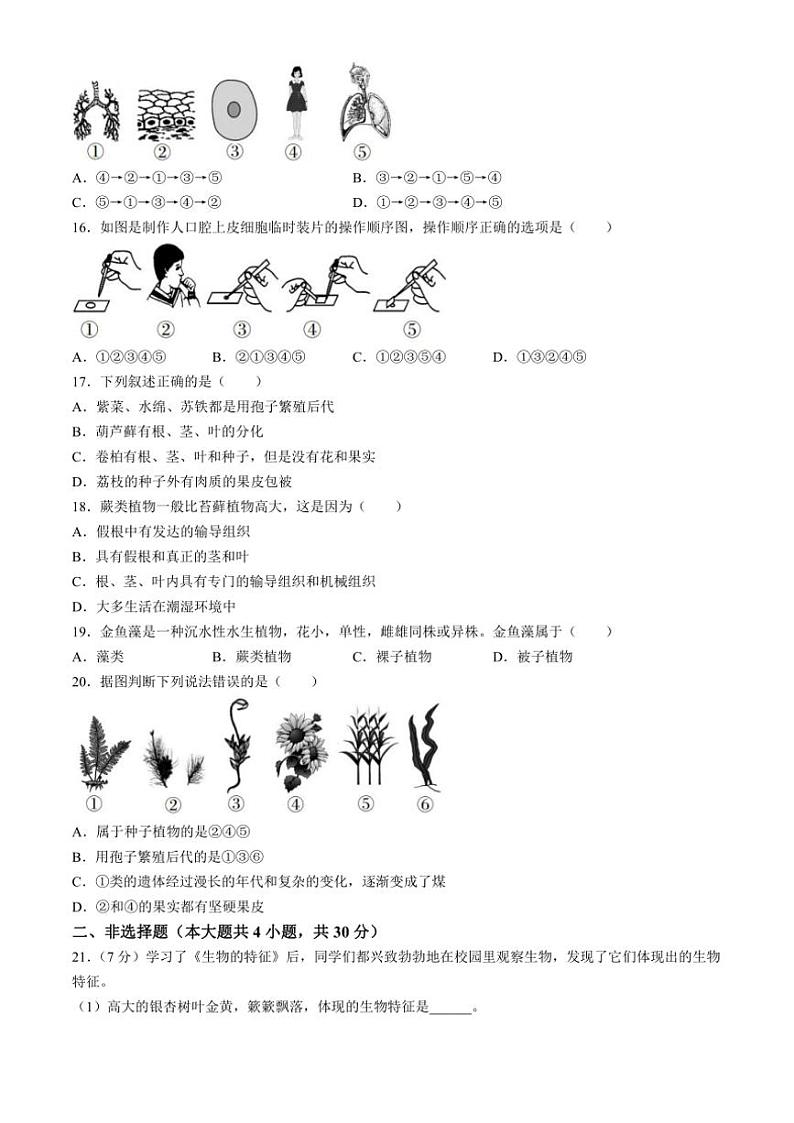 河南省焦作市中站区2024～2025学年七年级(上)期中生物试卷(含答案)第3页