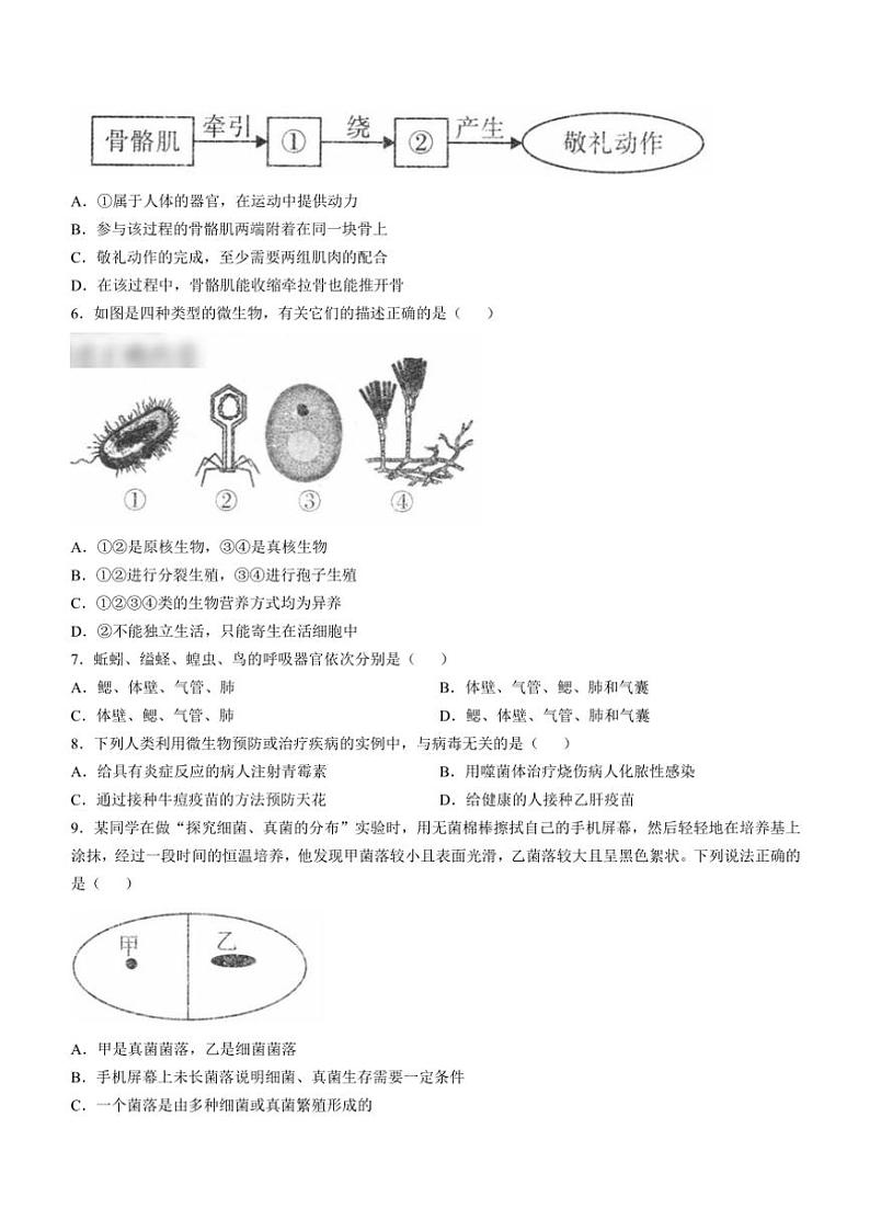 山西省临汾市侯马市三校2024～2025学年八年级(上)期中生物试卷(含答案)第2页