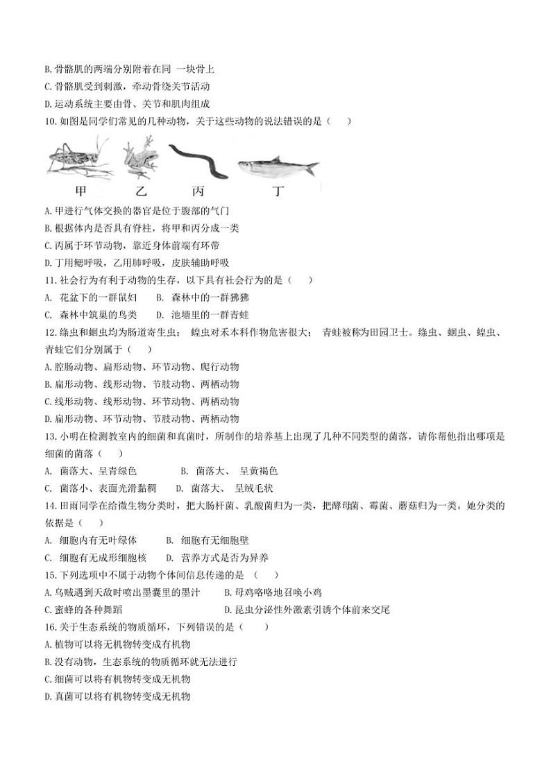 湖南省岳阳市湘阴县岭北五校联考2024～2025学年八年级(上)期中生物试卷(含答案+答题卡)第2页