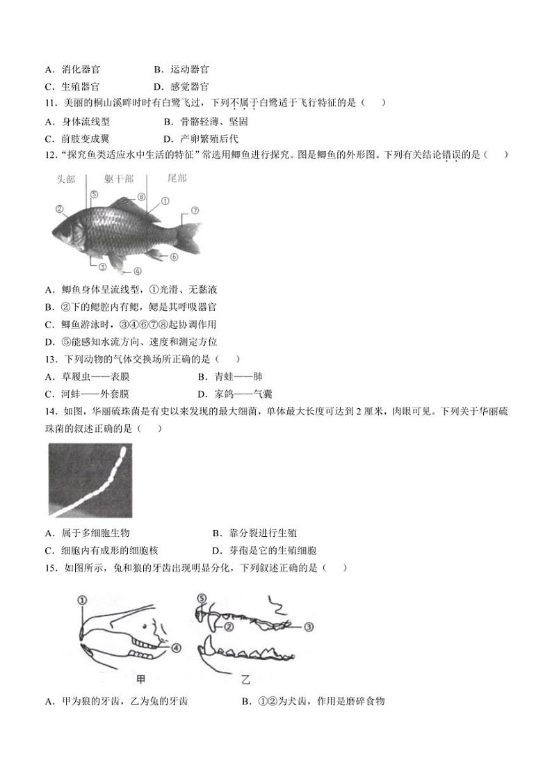 福建省宁德市福鼎市2024～2025学年八年级(上)期中生物试卷(含答案)03