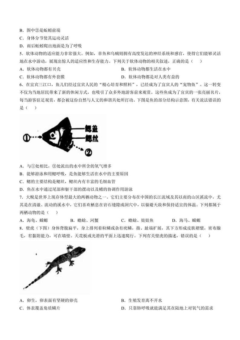 四川省宜宾市江安县2024～2025学年八年级(上)期中生物试卷(含答案)02