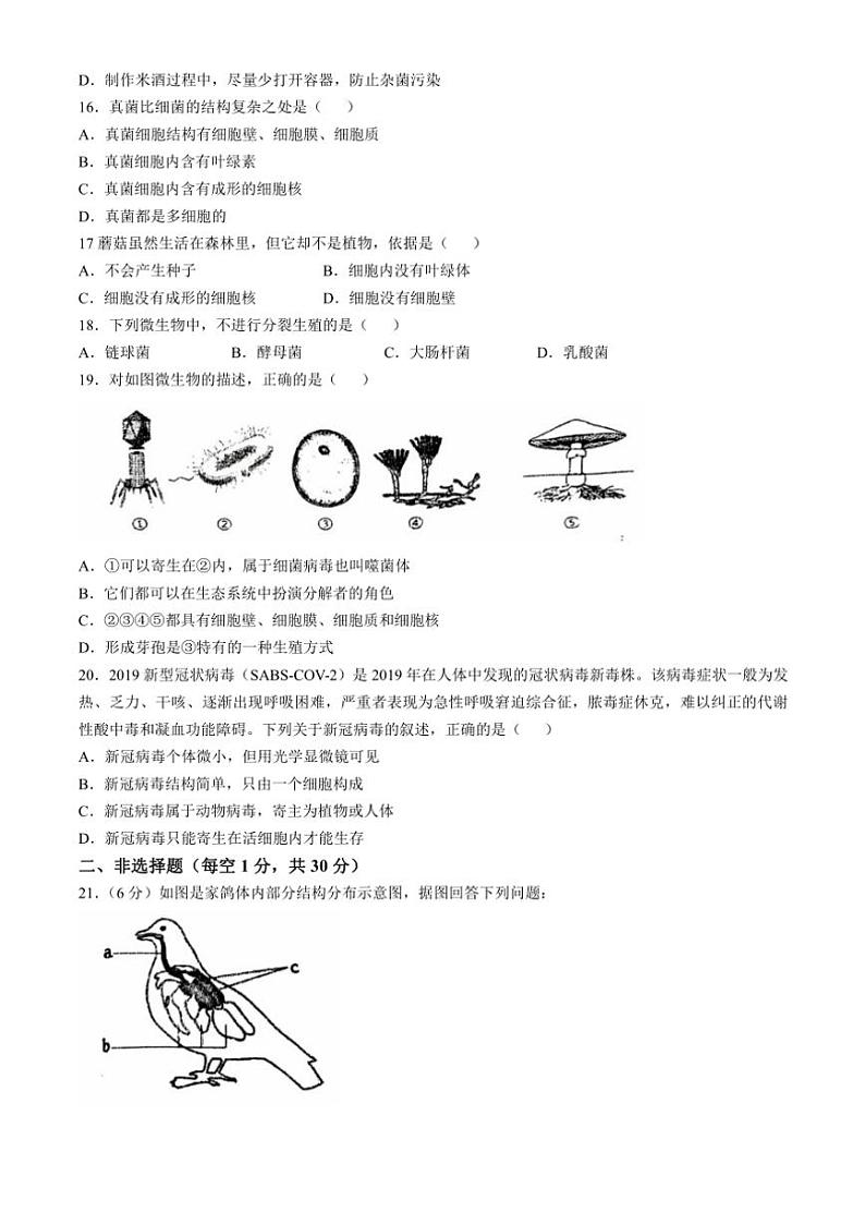 河南省南阳市淅川县2024～2025学年八年级(上)期中生物试卷(含答案)03