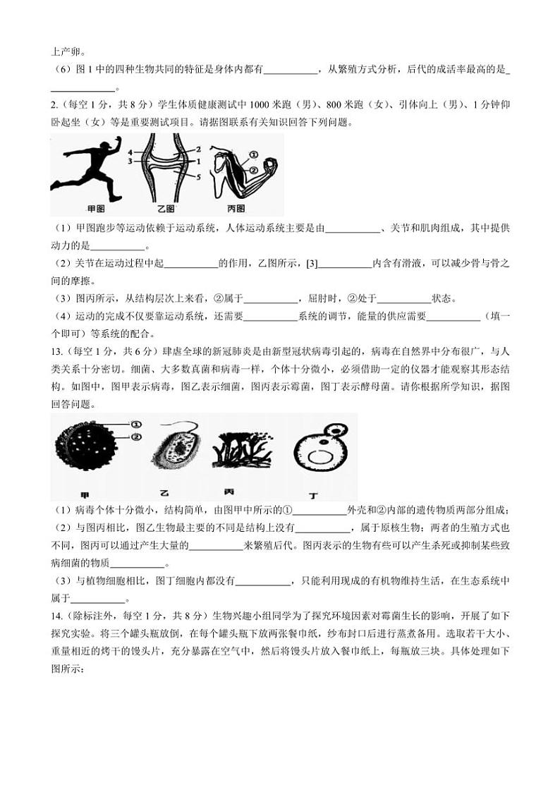 湖北省孝感市安陆市2024～2025学年八年级(上)期中生物试卷(含答案)03
