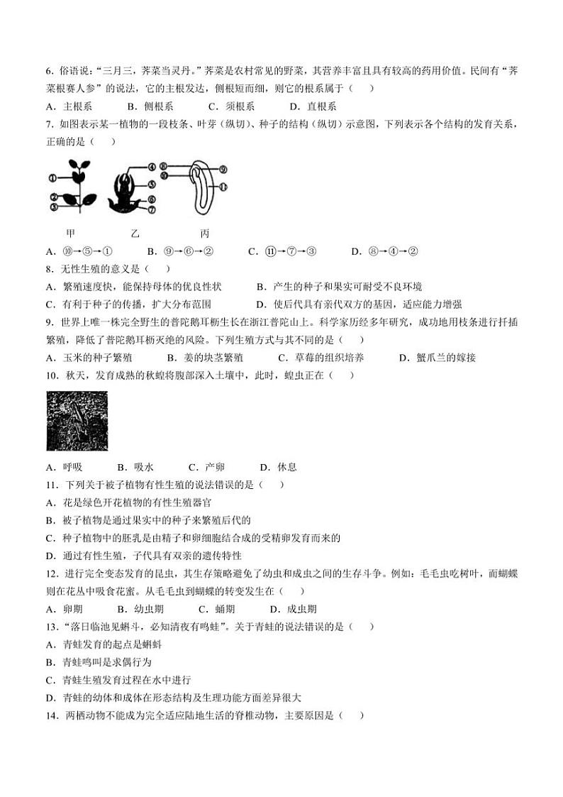 山东省济宁市泗水县2024～2025学年八年级(上)期中生物试卷(含答案)第2页