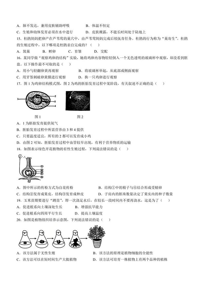 山东省济宁市泗水县2024～2025学年八年级(上)期中生物试卷(含答案)第3页