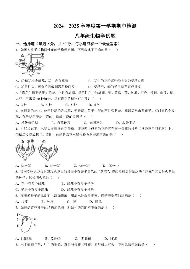山东省济宁市邹城市2024～2025学年八年级(上)期中生物试卷(含答案)第1页