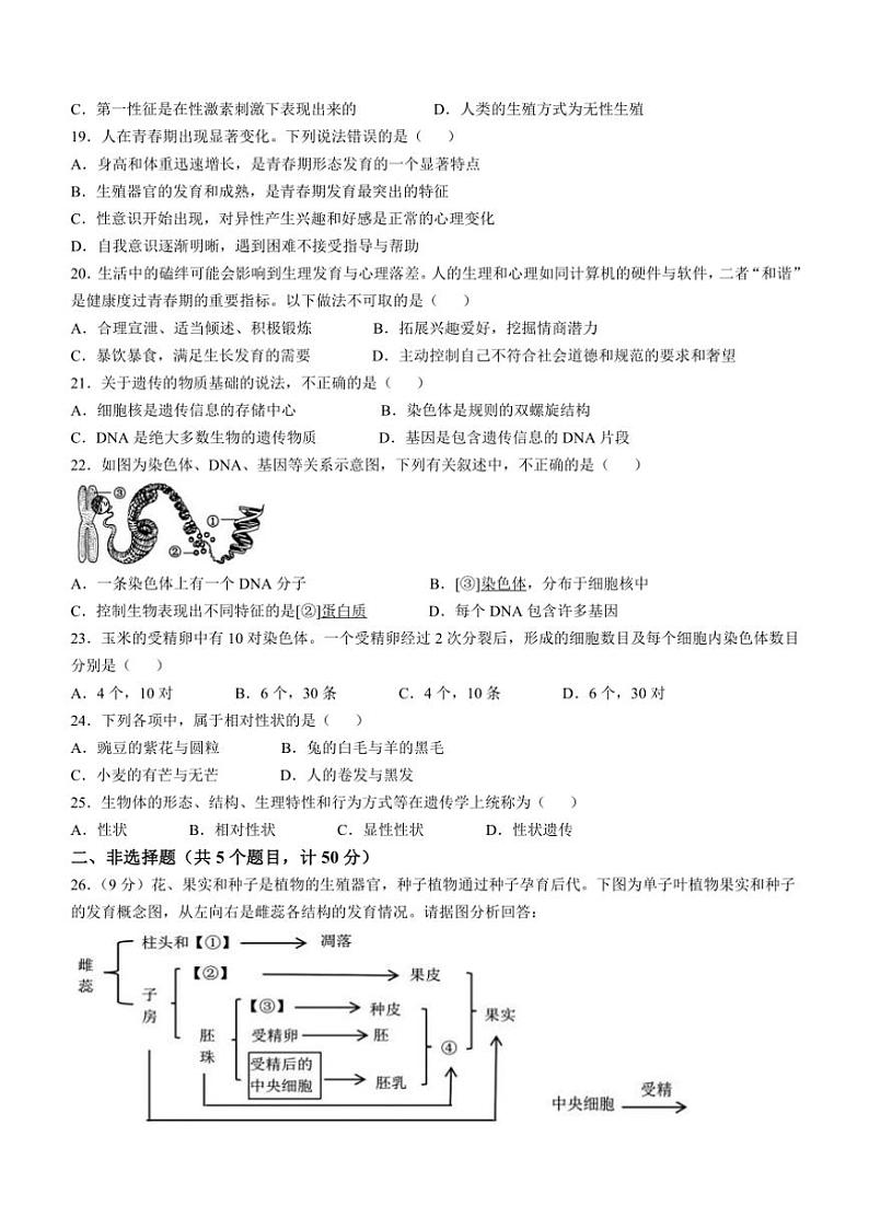 山东省济宁市邹城市2024～2025学年八年级(上)期中生物试卷(含答案)第3页