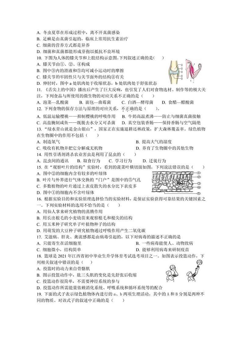 江西省丰城中学2024～2025学年八年级(上)期中生物试卷(含答案)第2页