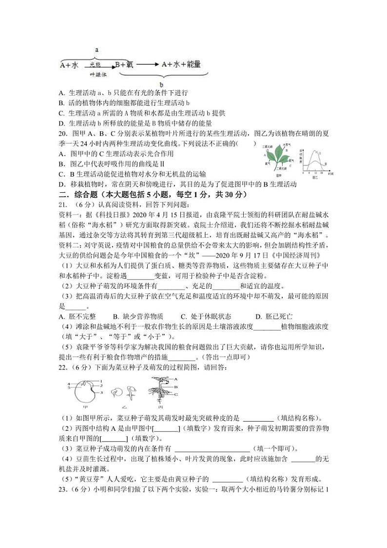 江西省丰城中学2024～2025学年八年级(上)期中生物试卷(含答案)第3页