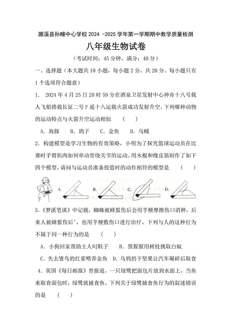 安徽省淮北市濉溪县孙疃中心学校2024～2025学年八年级(上)期中生物试卷(含答案)01