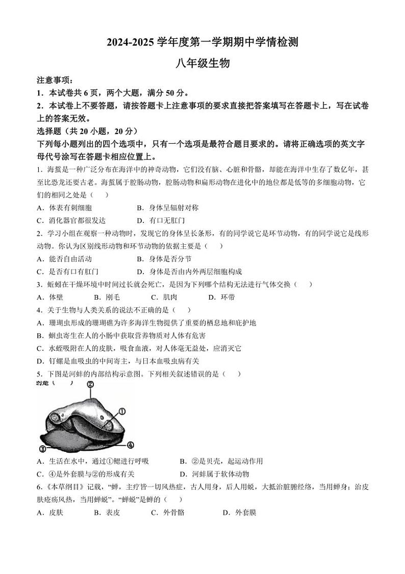 河南省周口市商水县2024～2025学年八年级(上)期中生物试卷(含答案)第1页